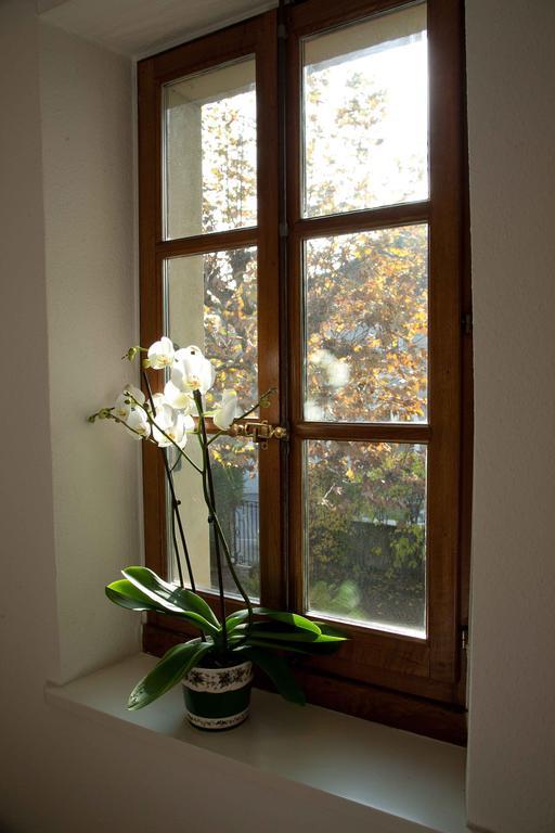 Charming Geneva Apartment Екстериор снимка